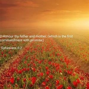 Meet your Posher, Tsehay